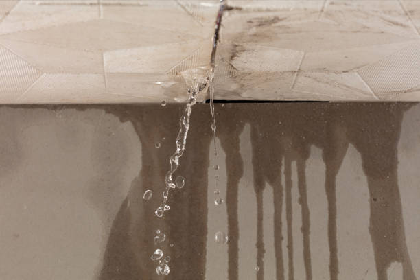 Professional Water Damage Repair technician working in Natural Bridge, AL